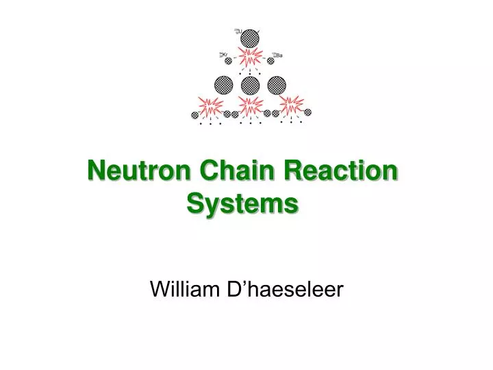 neutron chain reaction systems