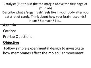 Agenda Catalyst Pre-lab Questions Objective