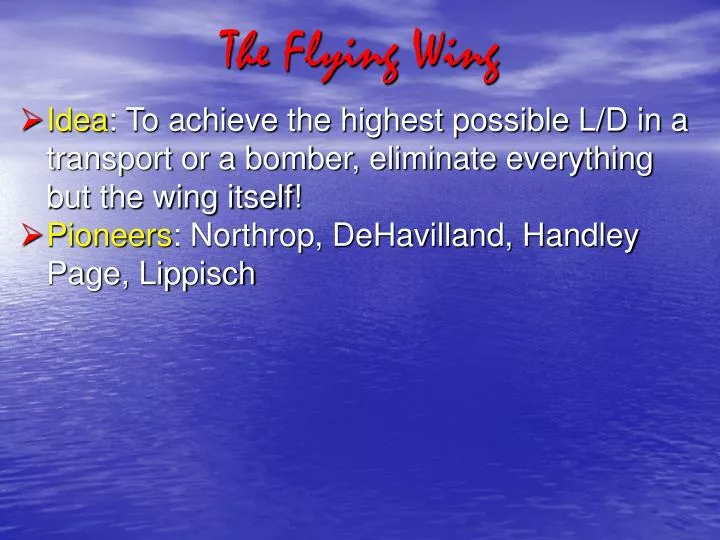 the flying wing