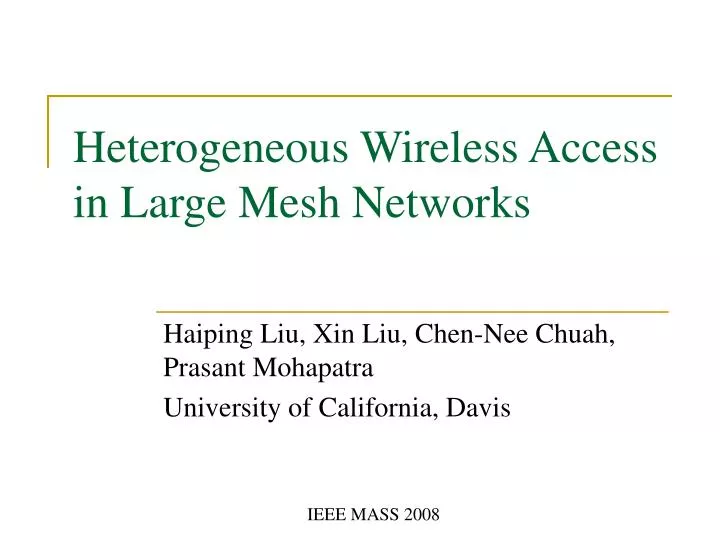 heterogeneous wireless access in large mesh networks