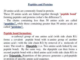 Peptides and Proteins 20 amino acids are commonly found in protein.