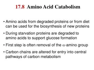 17.8 Amino Acid Catabolism