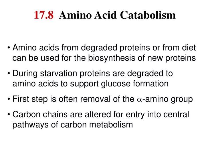 17 8 amino acid catabolism