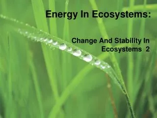 Energy In Ecosystems: