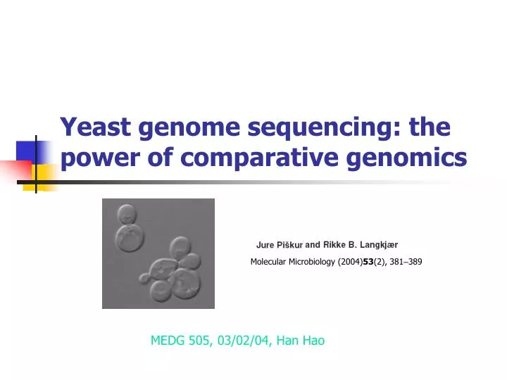 yeast genome sequencing the power of comparative genomics