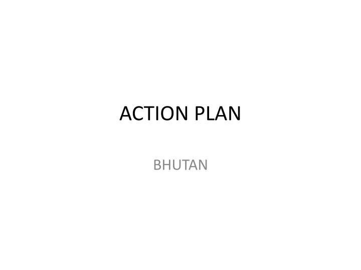 action plan