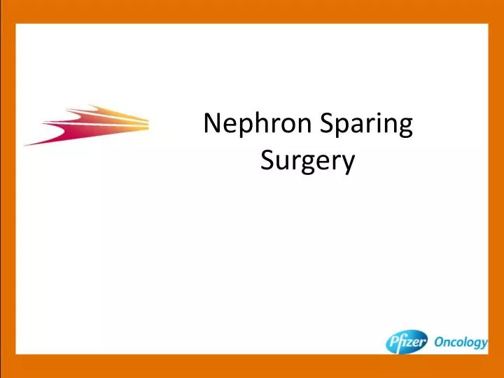 nephron sparing surgery