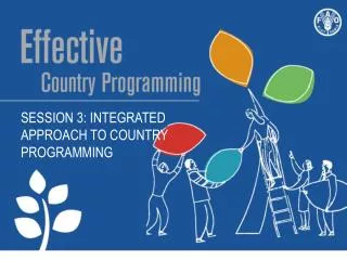 Session 3 : Integrated approach to country programming