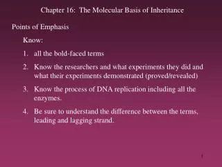 Chapter 16: The Molecular Basis of Inheritance