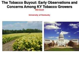 The Tobacco Buyout: Early Observations and Concerns Among KY Tobacco Growers Will Snell