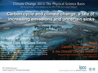 Carbon cycle and climate change, a tale of increasing emissions and uncertain sinks