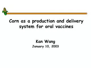 Corn as a production and delivery system for oral vaccines