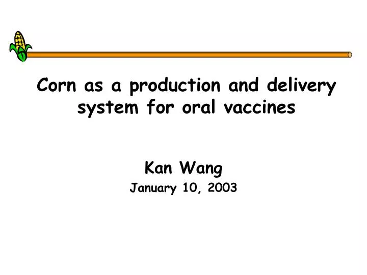 corn as a production and delivery system for oral vaccines