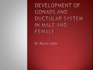 Development of gonads and ductular system in male and female