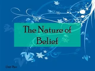 The Nature of Belief