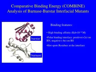 Comparative Binding Energy (COMBINE) Analysis of Barnase-Barstar Interfacial Mutants
