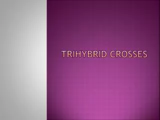Trihybrid Crosses