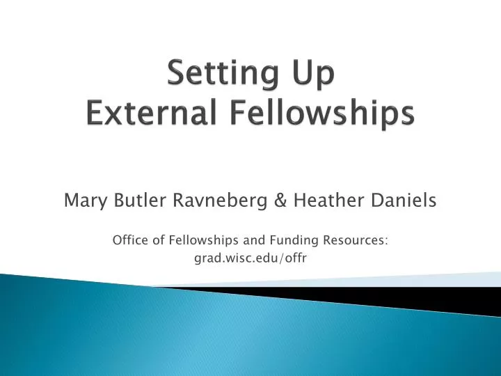 setting up external fellowships