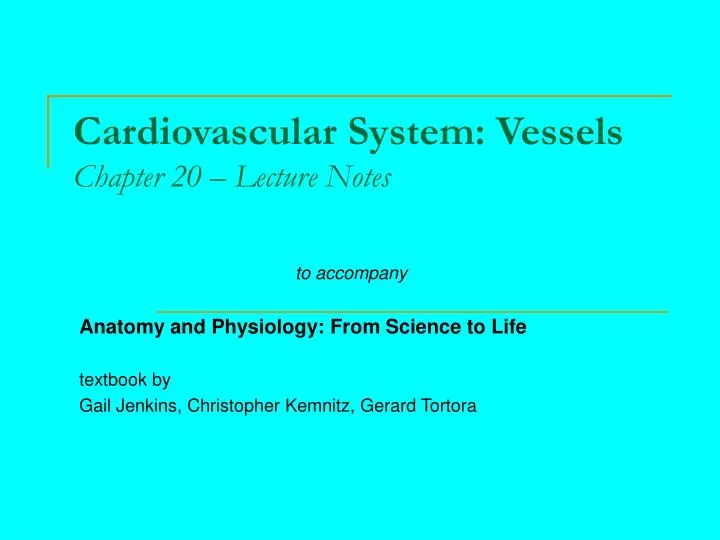 cardiovascular system vessels chapter 20 lecture notes