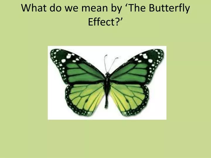 what do we mean by the butterfly effect