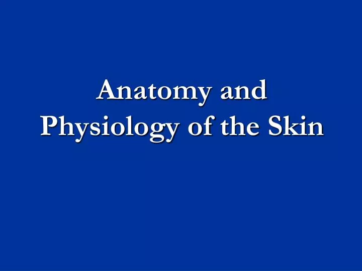 anatomy and physiology of the skin