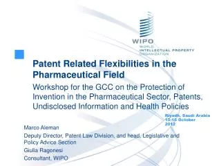 Patent Related Flexibilities in the Pharmaceutical Field