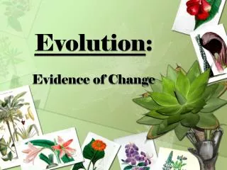 Evolution : Evidence of Change