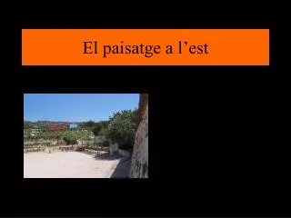 el paisatge a l est