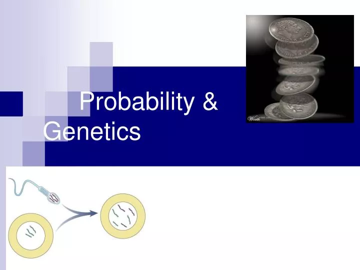 probability genetics