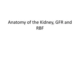 Anatomy of the Kidney, GFR and RBF