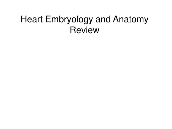 heart embryology and anatomy review