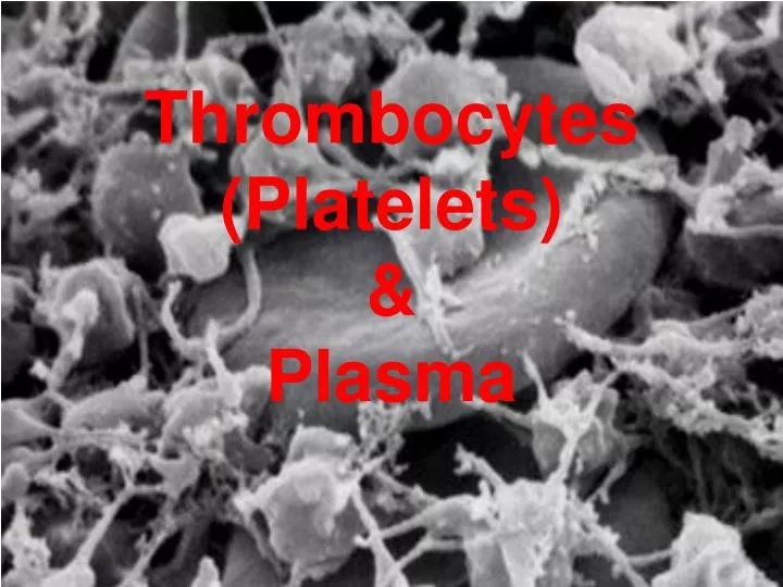 thrombocytes platelets plasma