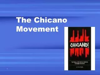 The Chicano Movement