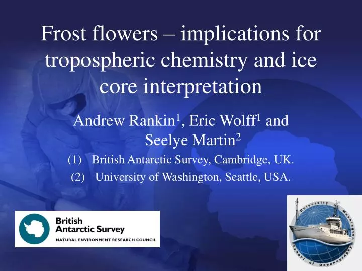 frost flowers implications for tropospheric chemistry and ice core interpretation
