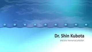 Dr . Shin Kubota