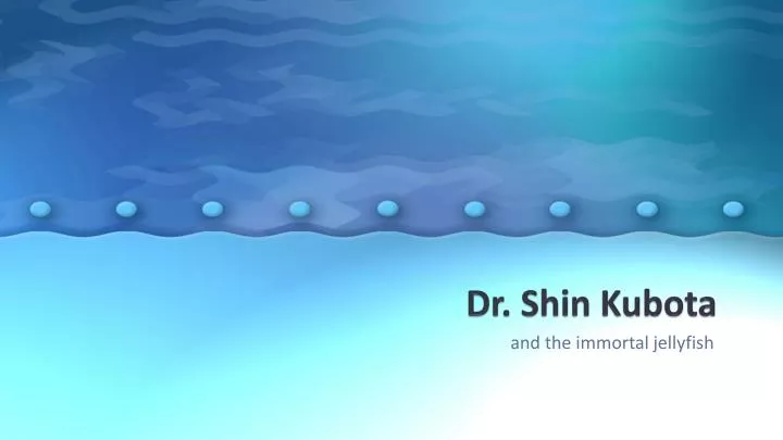 dr shin kubota