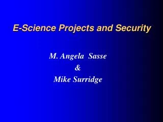 E-Science Projects and Security