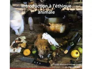 introduction l thique animale