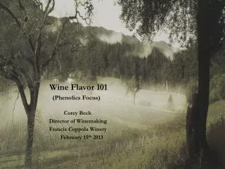 Wine Flavor 101 (Phenolics Focus) Corey Beck Director of Winemaking