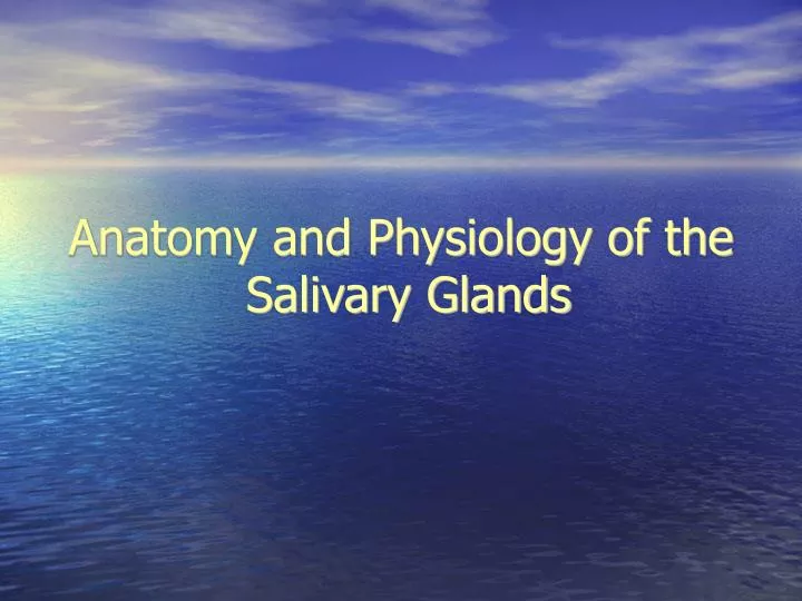 anatomy and physiology of the salivary glands