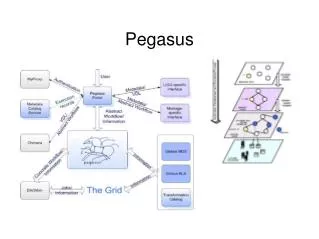 Pegasus