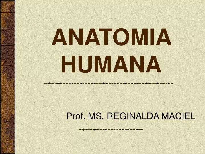 anatomia humana