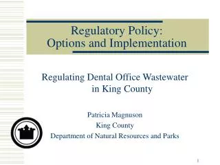 Regulatory Policy: Options and Implementation