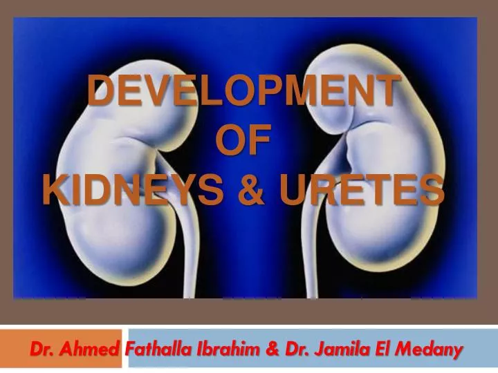 dr ahmed fathalla ibrahim dr jamila el medany