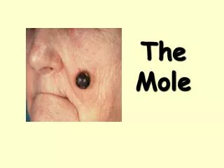 the mole