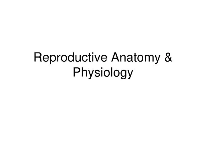 reproductive anatomy physiology