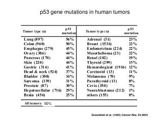 p53 gene mutations in human tumor s