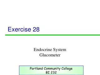 exercise 28