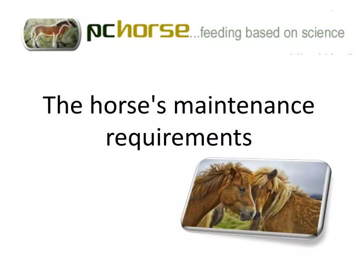 the horse s maintenance requirements