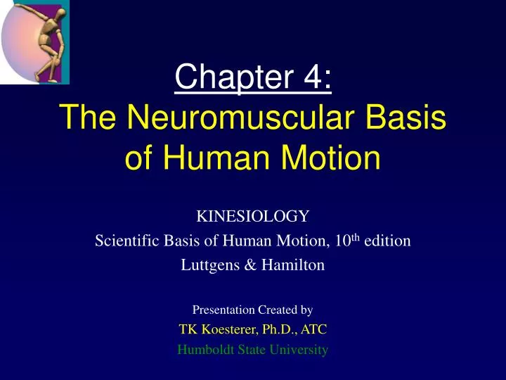 chapter 4 the neuromuscular basis of human motion